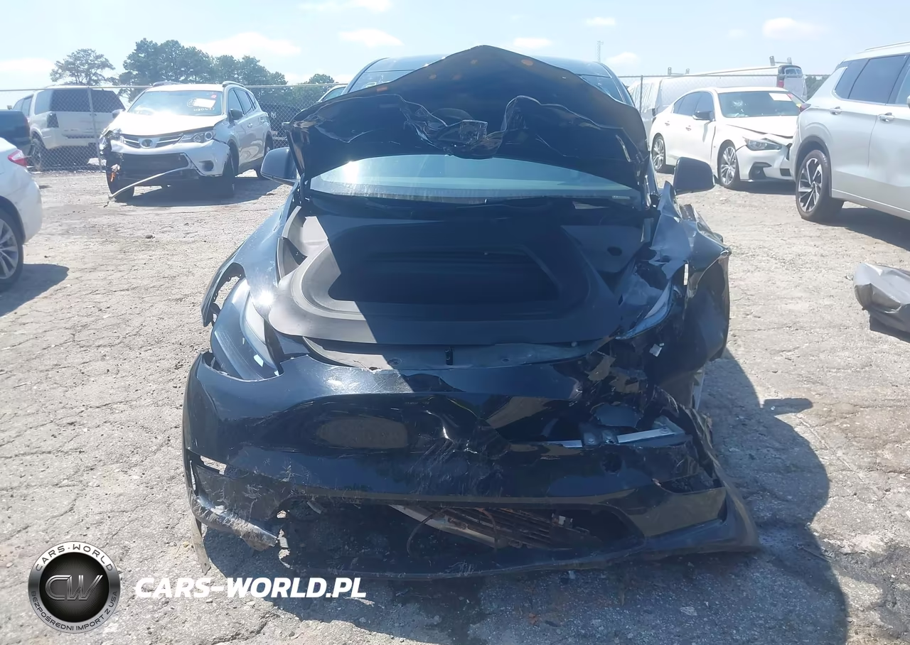 2023 Tesla Model Y VIN:7SAYGDEE9PA165809 - 11