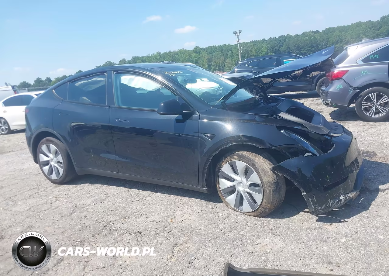 2023 Tesla Model Y VIN:7SAYGDEE9PA165809 - 12
