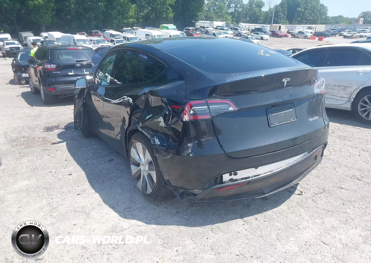 2023 Tesla Model Y VIN:7SAYGDEE9PA165809 - 3