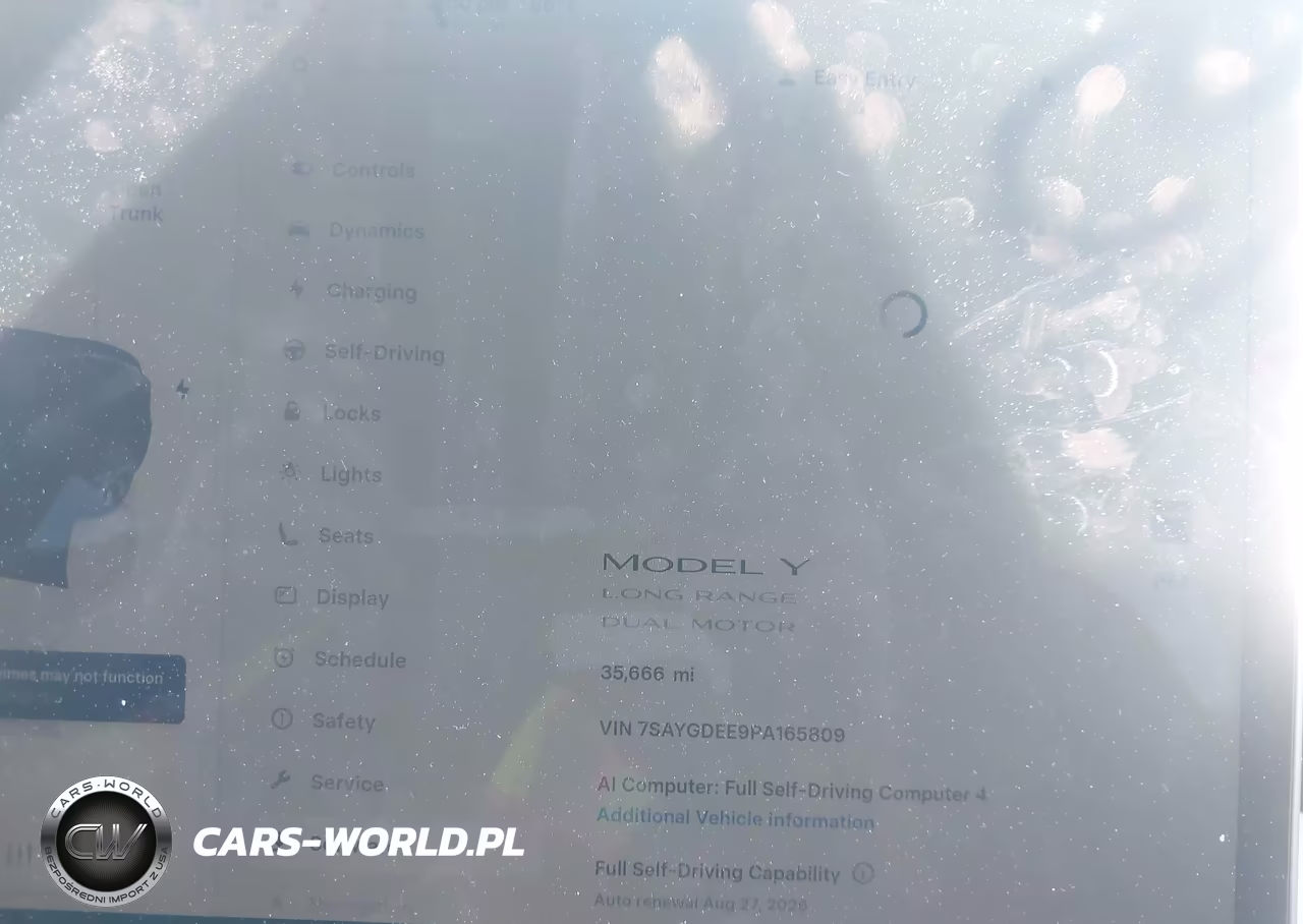 2023 Tesla Model Y VIN:7SAYGDEE9PA165809 - 7