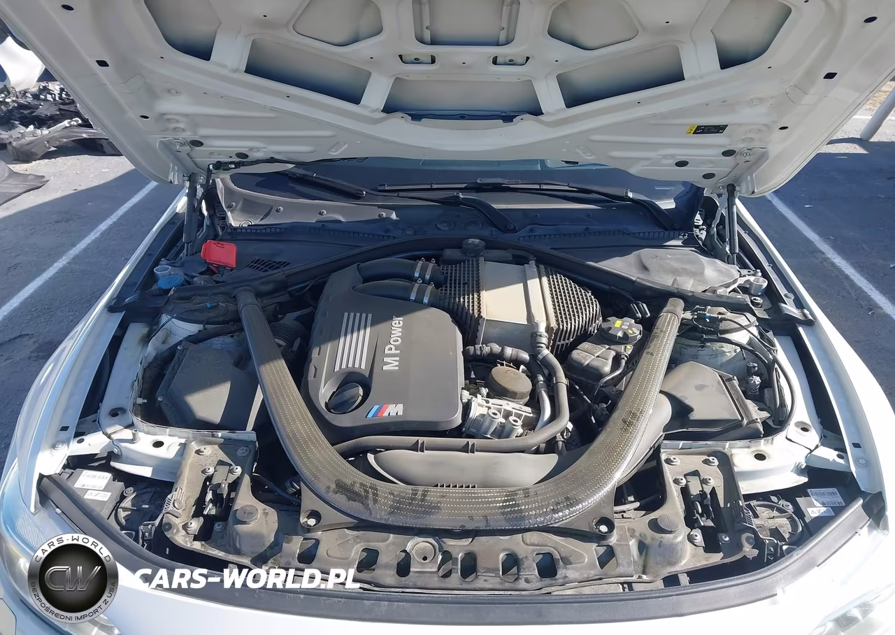 2017 BMW M4 VIN:WBS3R9C52HK709391 - 10
