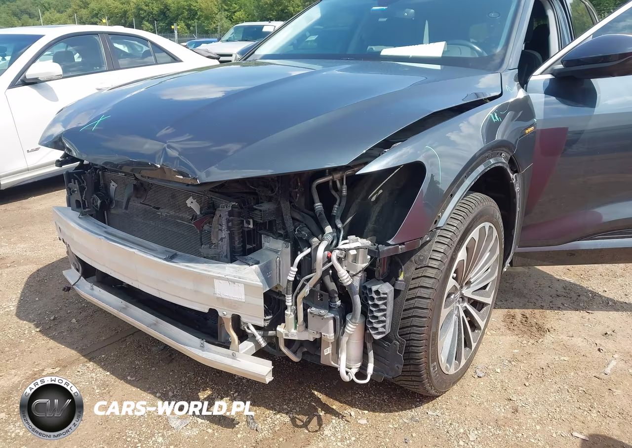 2019 Audi E-Tron Premium Plus VIN:WA1VAAGE5KB024967 - 6