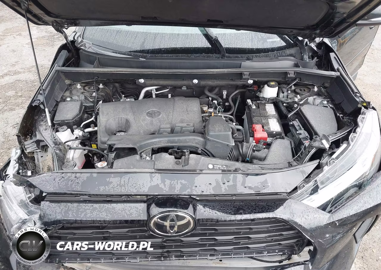 2025 Toyota Rav4 Xle VIN:2T3P1RFV9SW546121 - 10