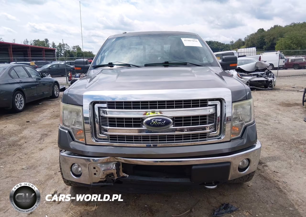 2014 Ford F-150 Xlt VIN:1FTFX1EF0EKF03144 - 12
