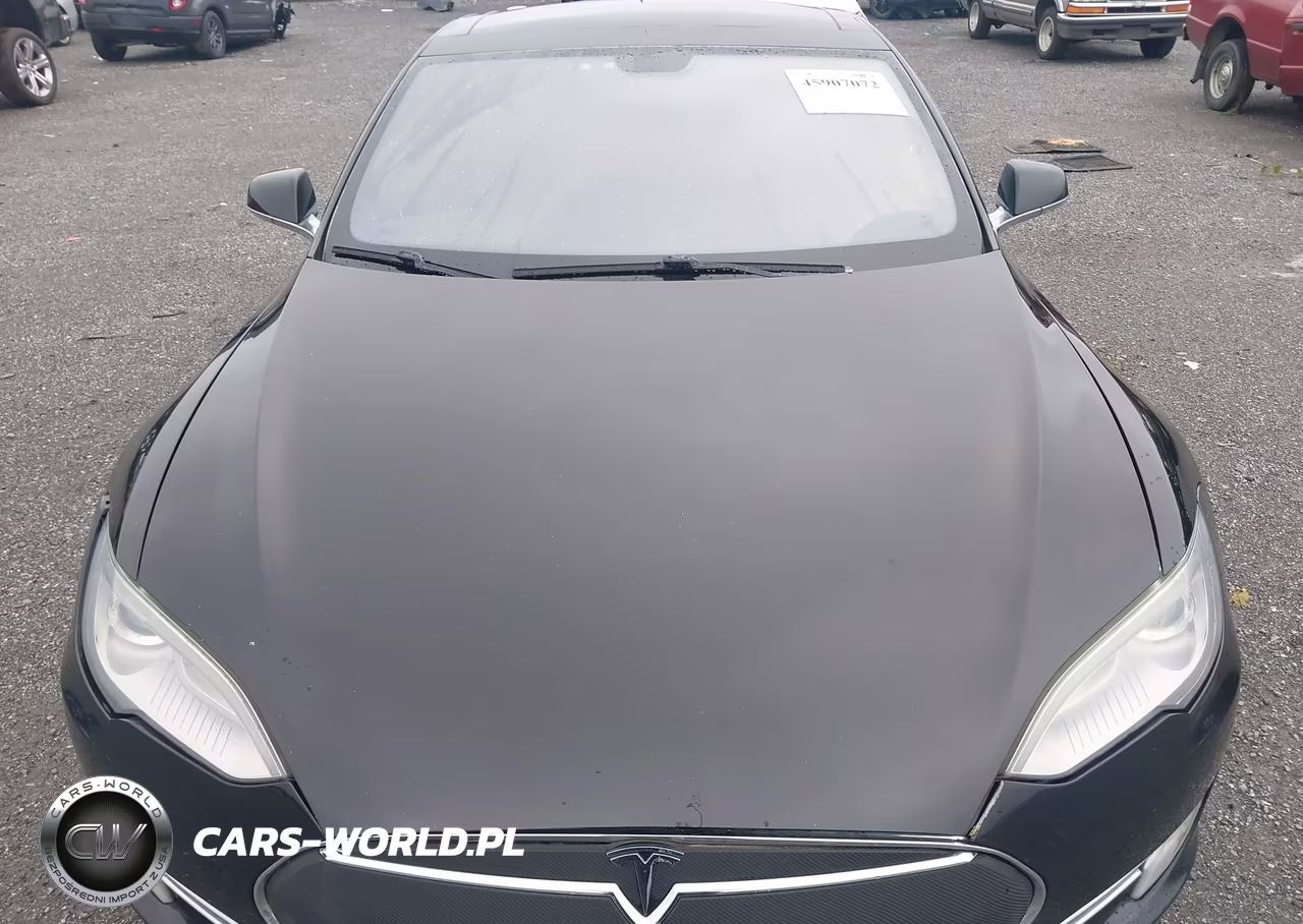 2013 Tesla Model S VIN:5YJSA1CG2DFP14630 - 10