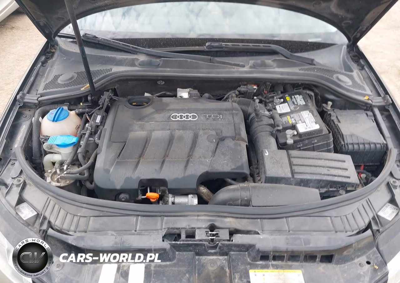 2011 Audi A3 2.0 Tdi Premium VIN:WAUBJAFM0BA007899 - 10