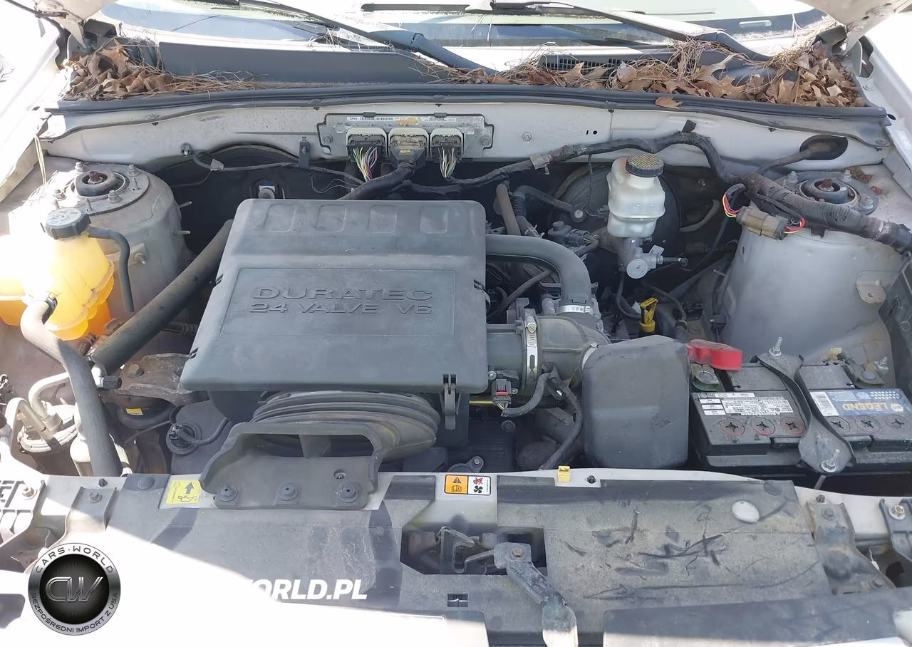 2009 Ford Escape Xlt VIN:1FMCU93G29KA69719 - 10
