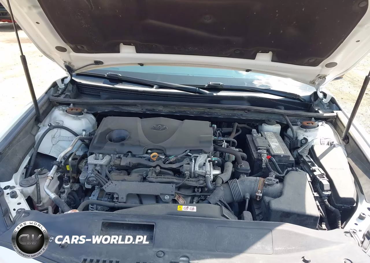 2019 Toyota Camry Xse VIN:4T1B61HKXKU209207 - 10