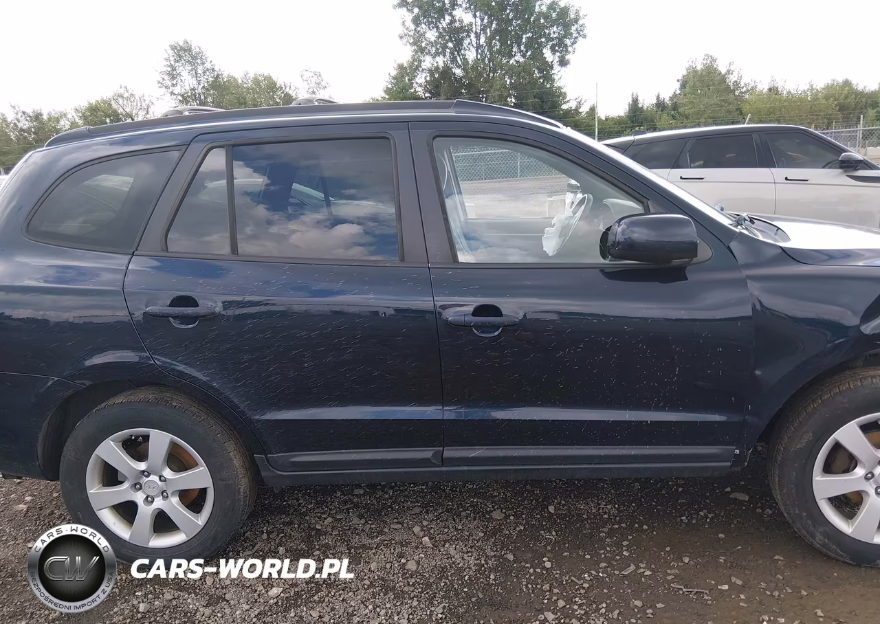 2009 Hyundai Santa Fe Se VIN:5NMSH73E49H318119 - 14