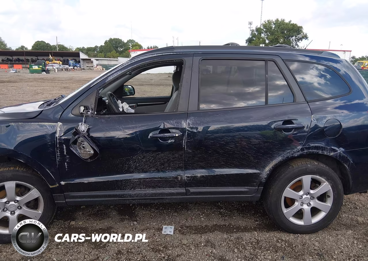 2009 Hyundai Santa Fe Se VIN:5NMSH73E49H318119 - 15