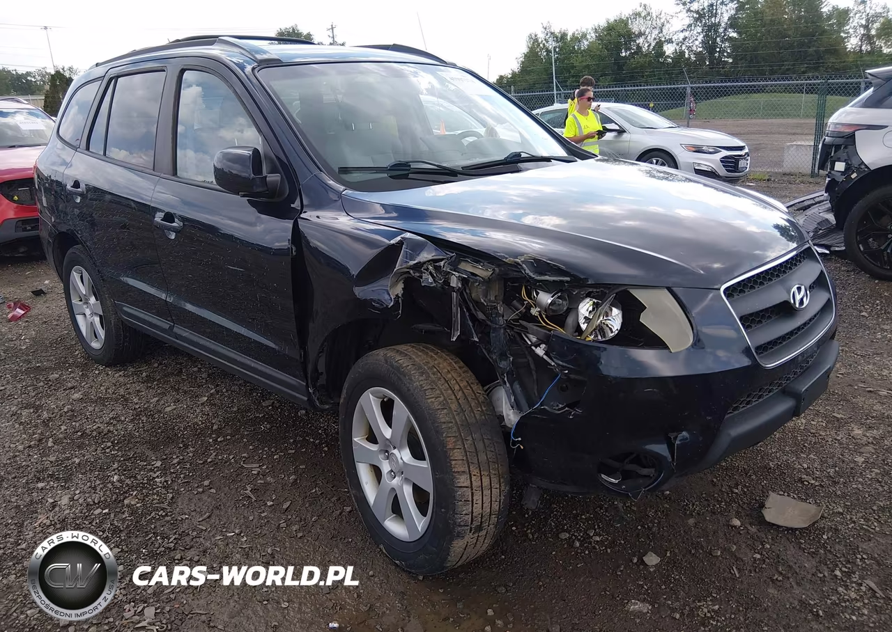 2009 Hyundai Santa Fe Se VIN:5NMSH73E49H318119 - 18