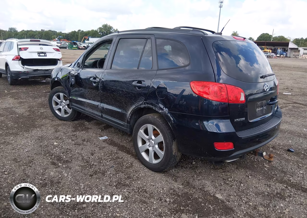 2009 Hyundai Santa Fe Se VIN:5NMSH73E49H318119 - 3