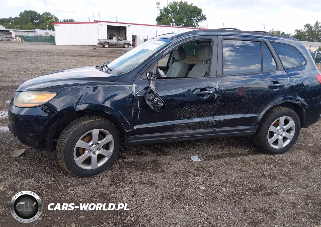 2009 Hyundai Santa Fe Se VIN:5NMSH73E49H318119 - 6