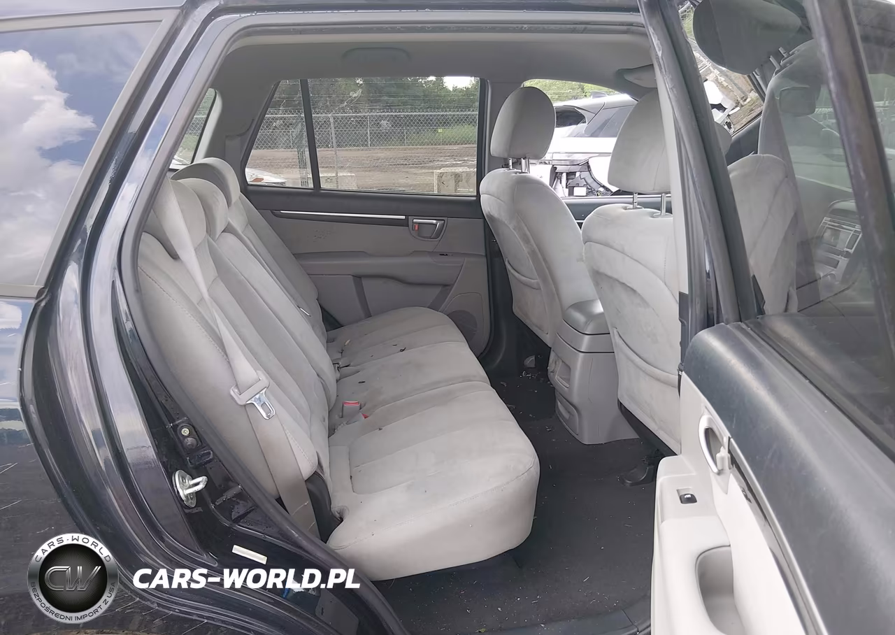 2009 Hyundai Santa Fe Se VIN:5NMSH73E49H318119 - 8