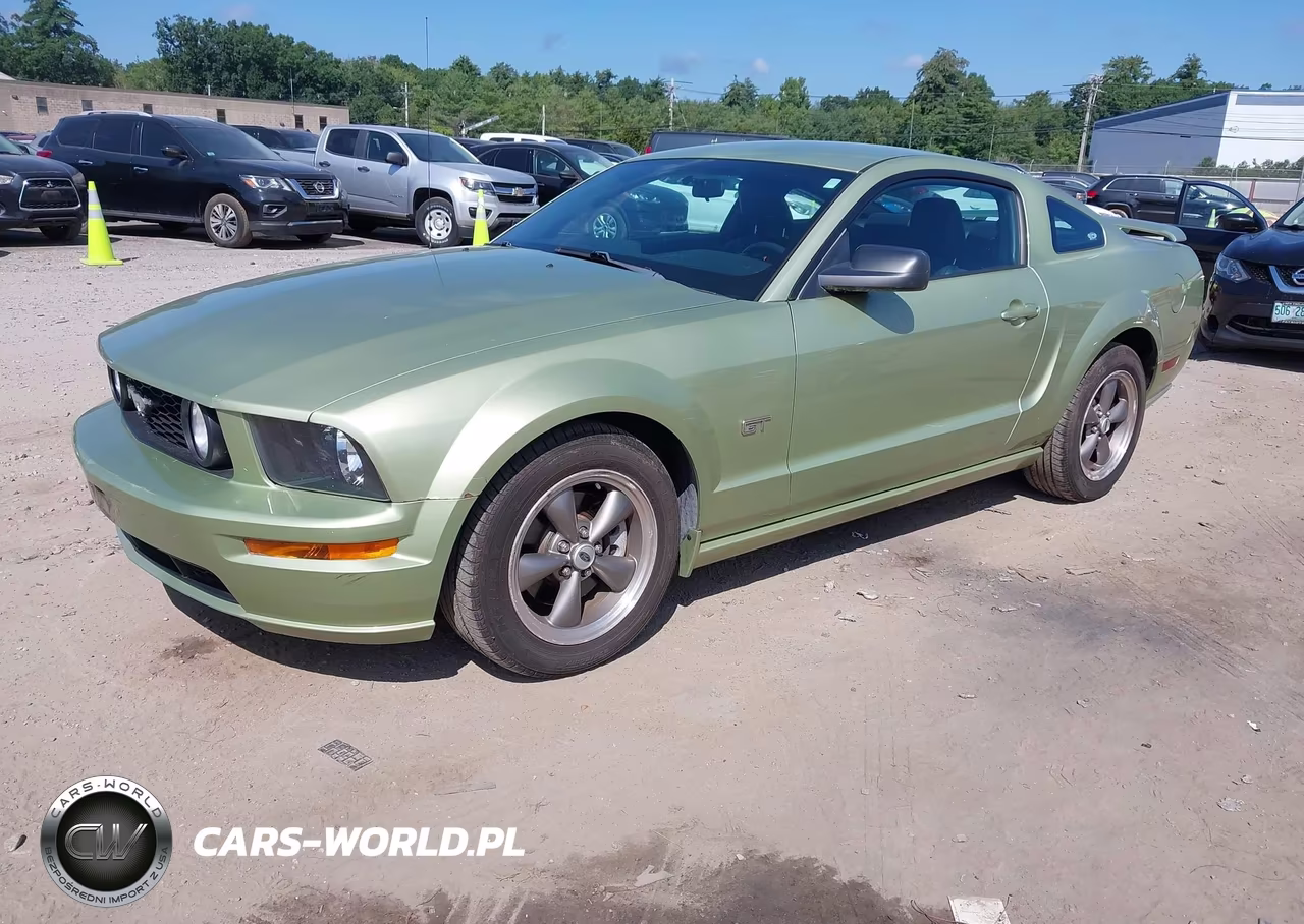 2005 Ford Mustang Gt Deluxe-Gt Premium VIN:1ZVHT82H655132215 - 2