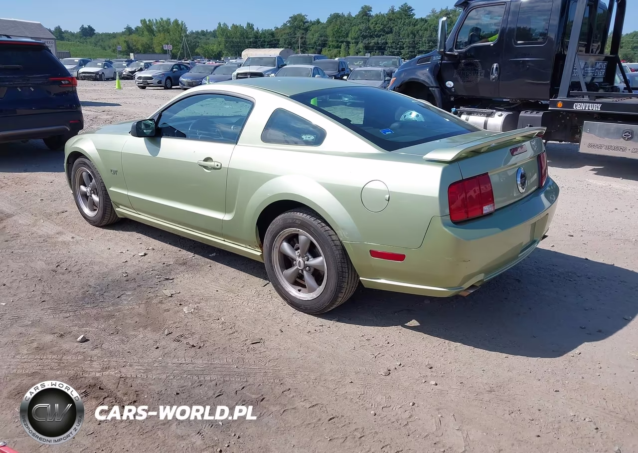 2005 Ford Mustang Gt Deluxe-Gt Premium VIN:1ZVHT82H655132215 - 3