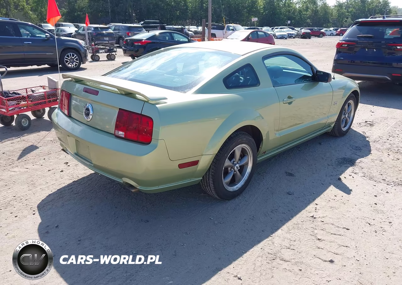 2005 Ford Mustang Gt Deluxe-Gt Premium VIN:1ZVHT82H655132215 - 4