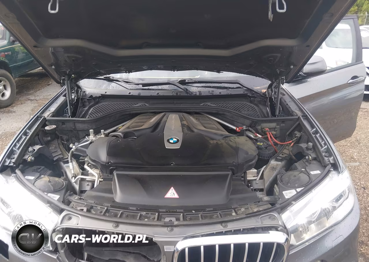 2017 BMW X6 xDrive50I VIN:5UXKU6C38H0W38691 - 10