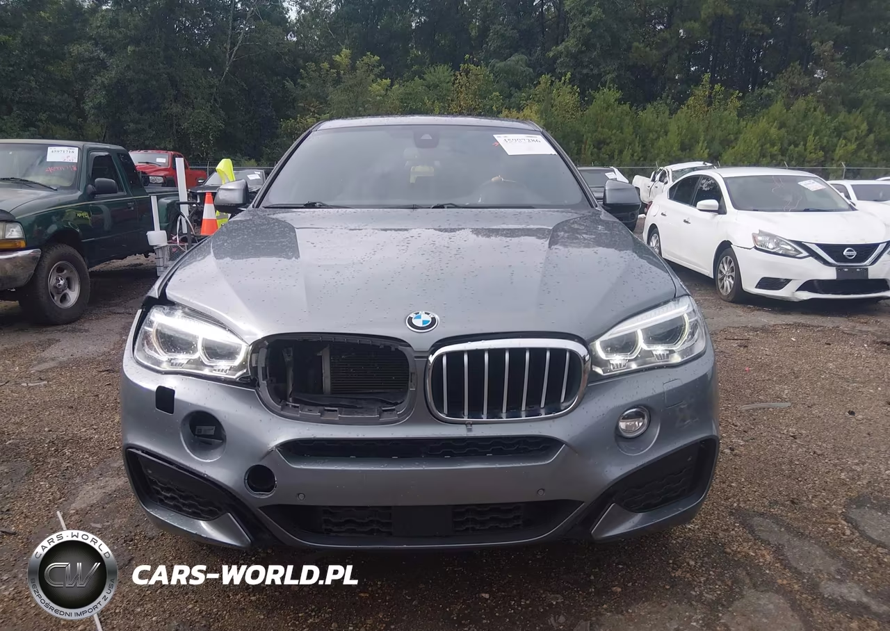 2017 BMW X6 xDrive50I VIN:5UXKU6C38H0W38691 - 12