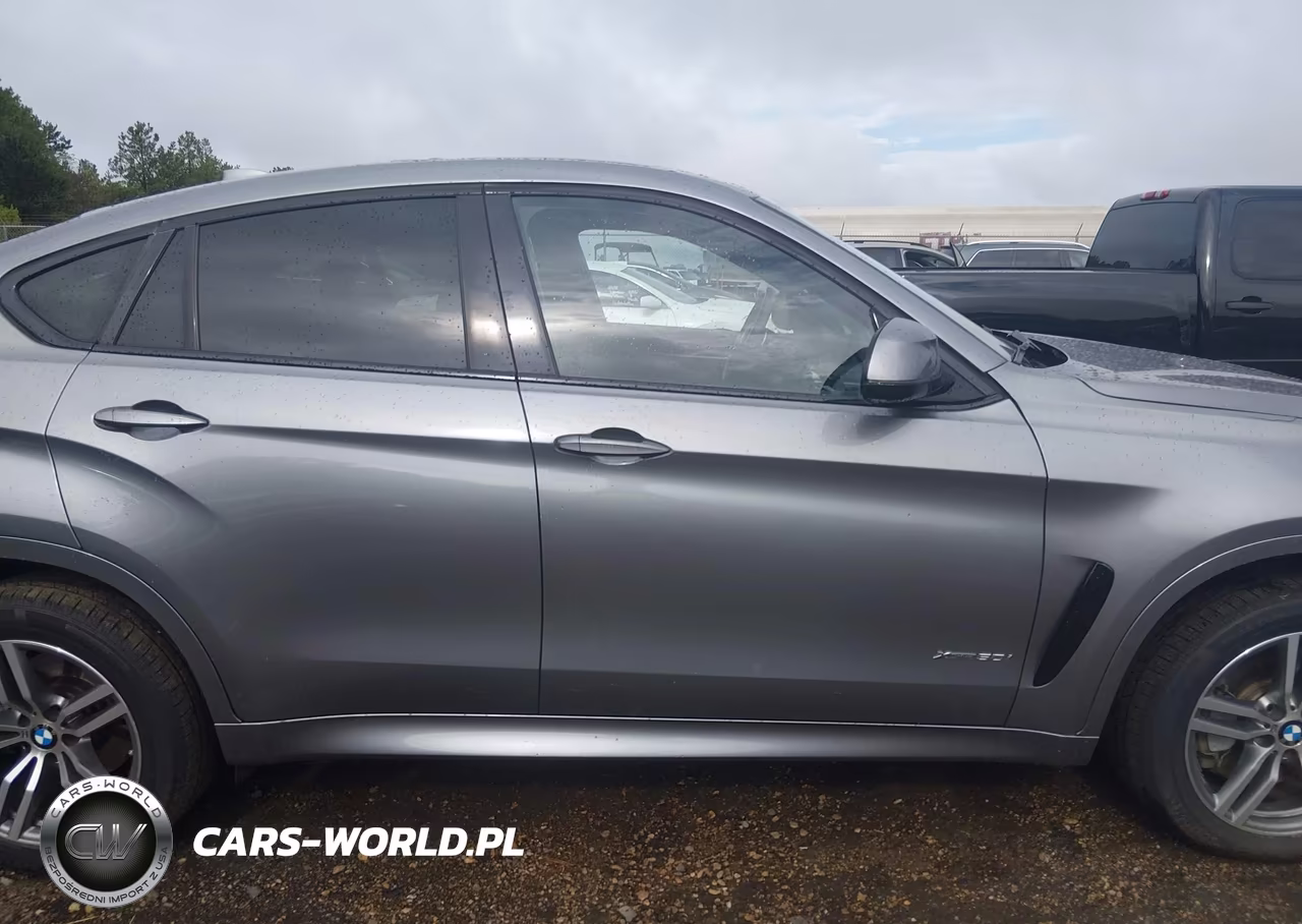 2017 BMW X6 xDrive50I VIN:5UXKU6C38H0W38691 - 13
