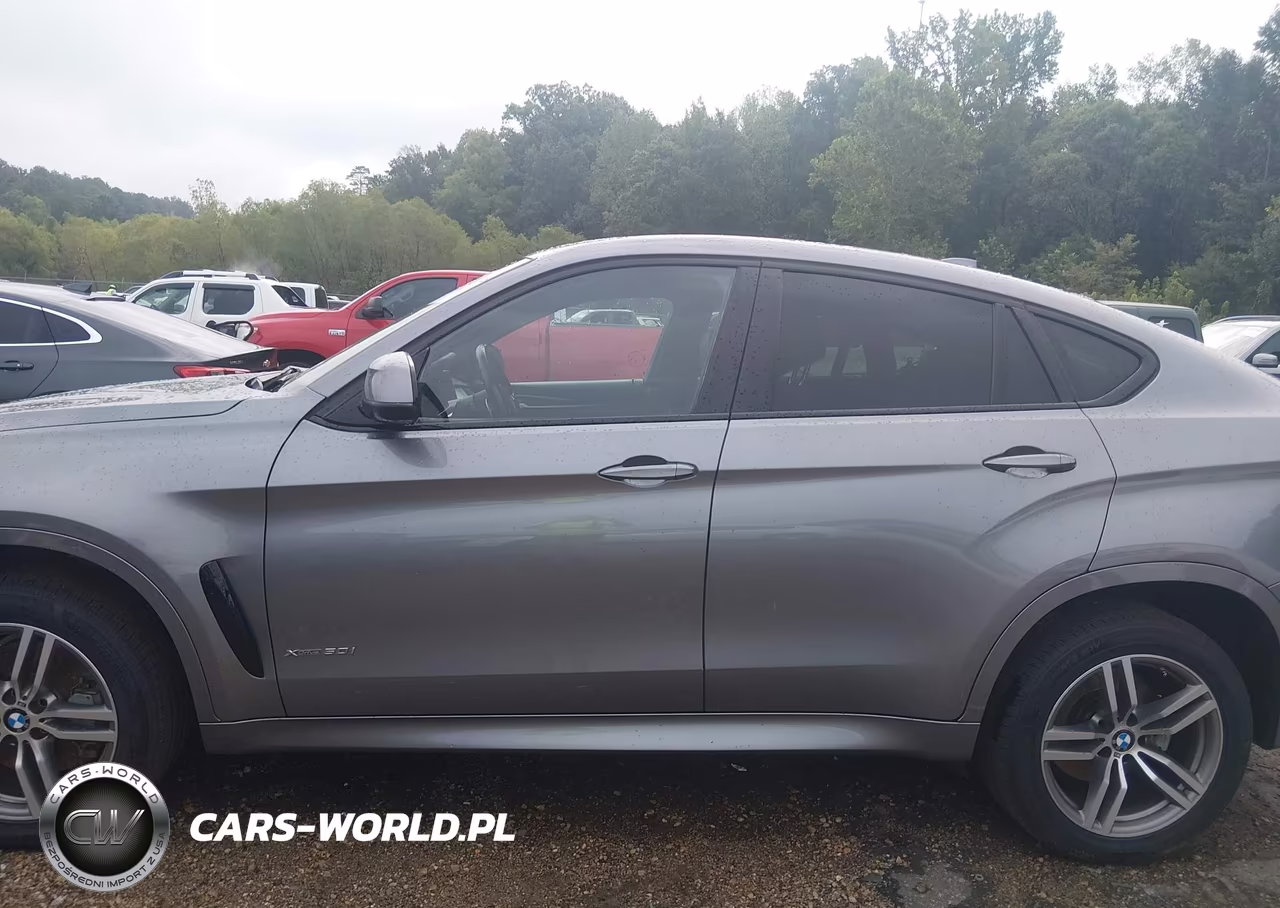 2017 BMW X6 xDrive50I VIN:5UXKU6C38H0W38691 - 14