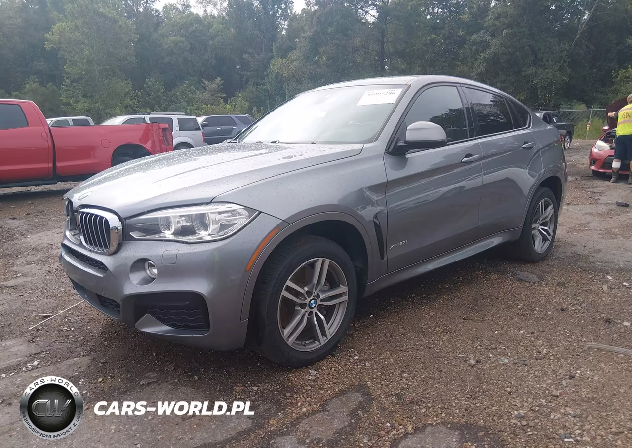 2017 BMW X6 xDrive50I VIN:5UXKU6C38H0W38691 - 2