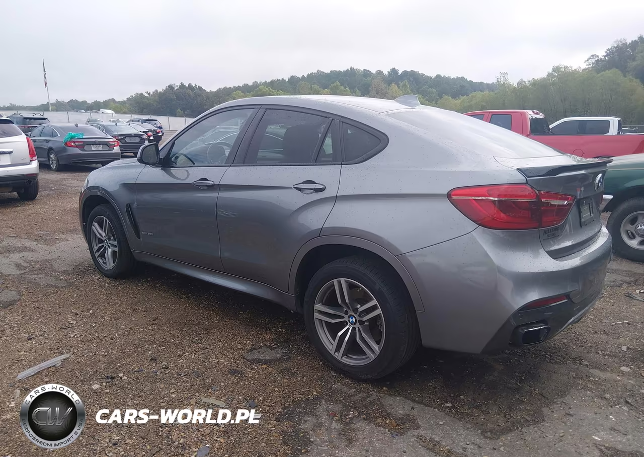 2017 BMW X6 xDrive50I VIN:5UXKU6C38H0W38691 - 3