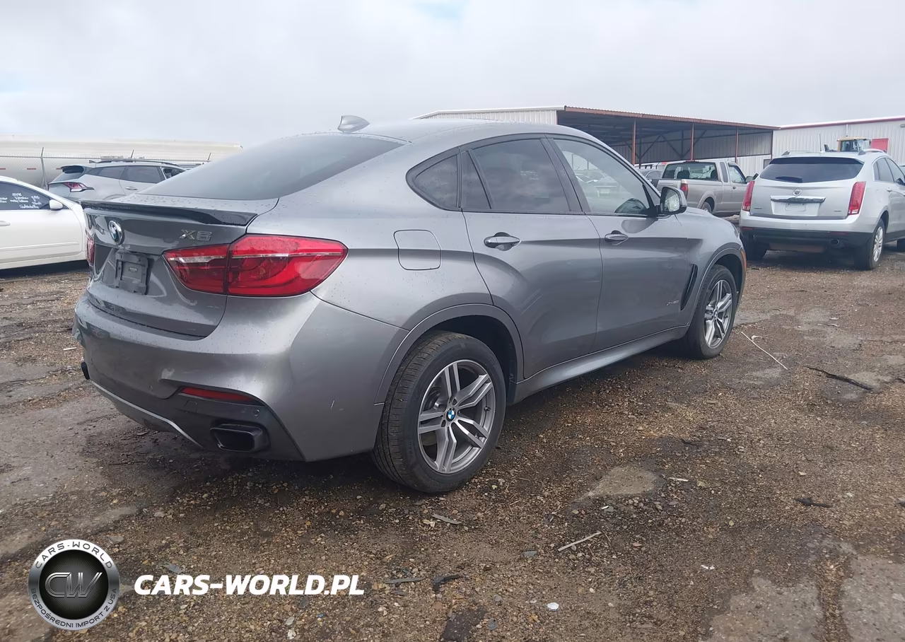 2017 BMW X6 xDrive50I VIN:5UXKU6C38H0W38691 - 4