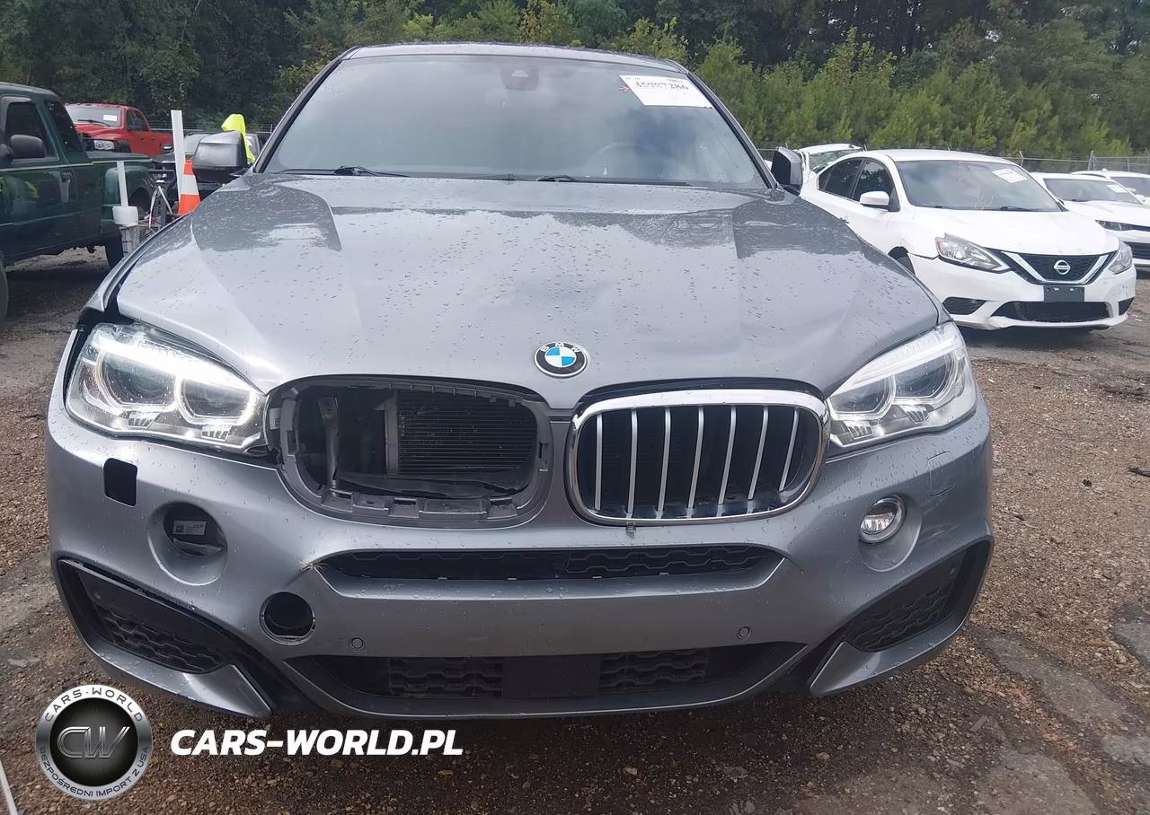 2017 BMW X6 xDrive50I VIN:5UXKU6C38H0W38691 - 6