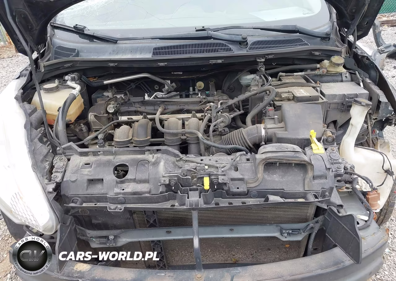 2013 Ford Fiesta Se VIN:3FADP4BJ0DM214148 - 10