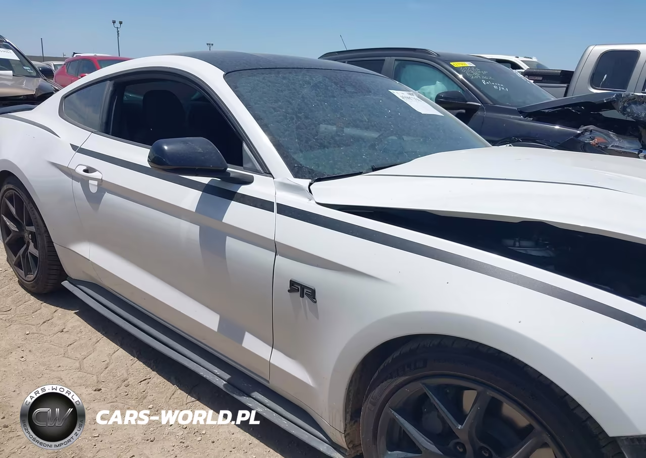 2021 Ford Mustang Gt Fastback VIN:1FA6P8CF1M5110655 - 13