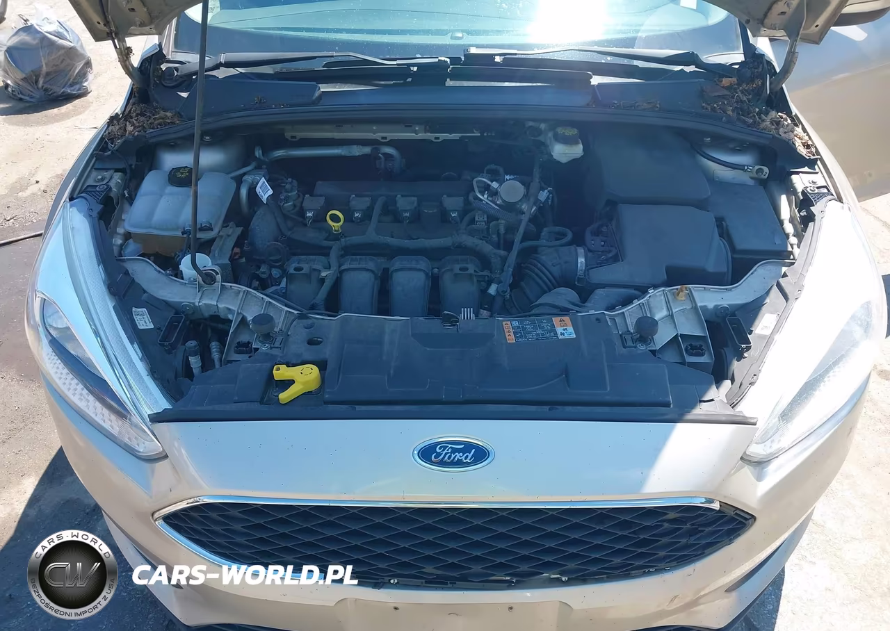2017 Ford Focus Se VIN:1FADP3K26HL252395 - 10