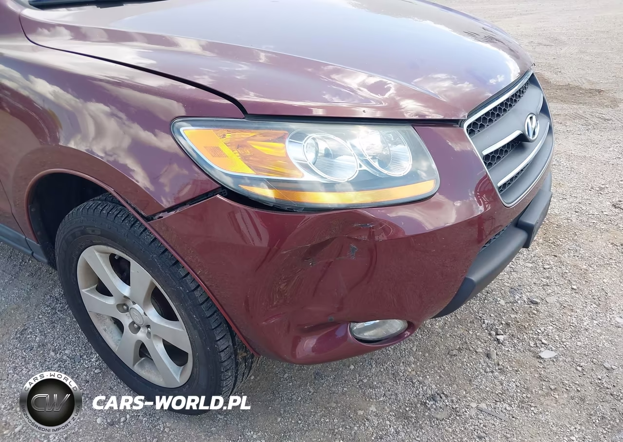 2008 Hyundai Santa Fe Limited-Se VIN:5NMSH13E18H216983 - 6