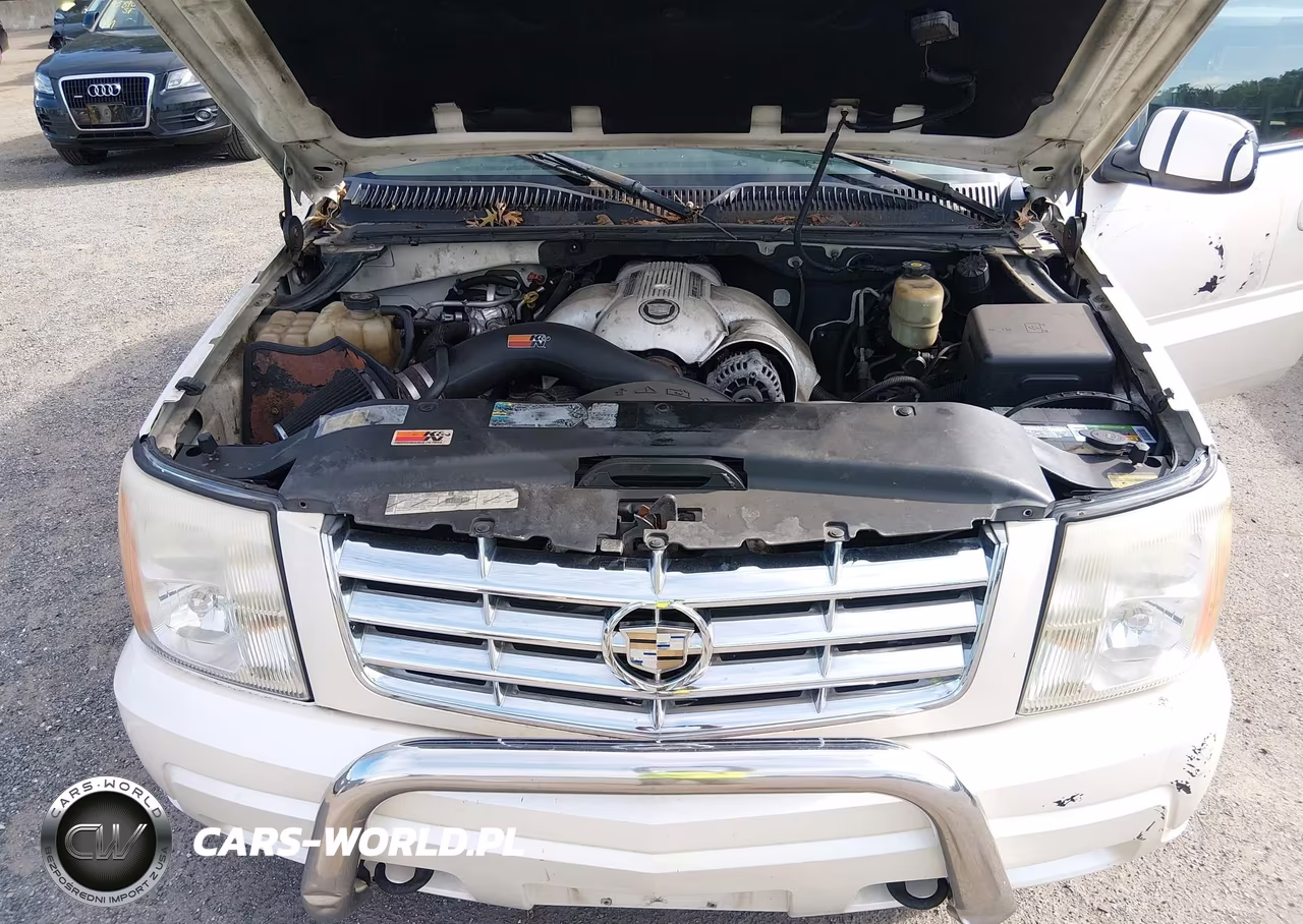 2002 Cadillac Escalade Standard VIN:1GYEK63N62R304744 - 10