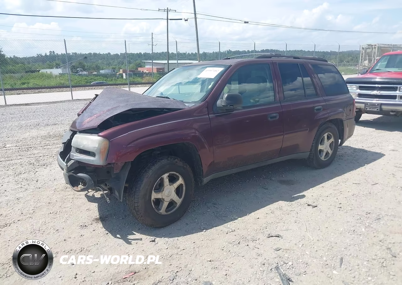 2006 Chevrolet Trailblazer Ls VIN:1GNDT13S062173274 - 2