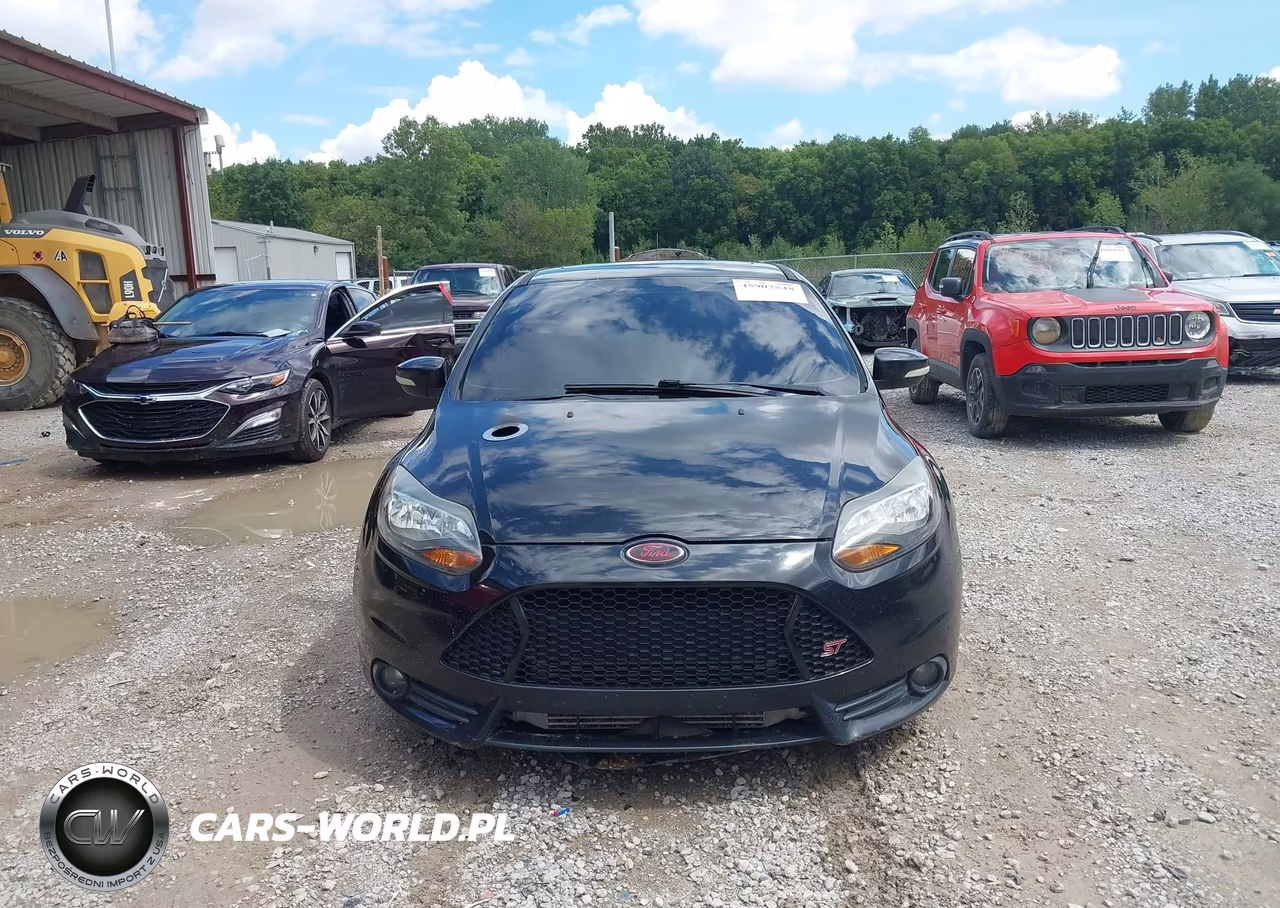 2014 Ford Focus St VIN:1FADP3L93EL338481 - 12