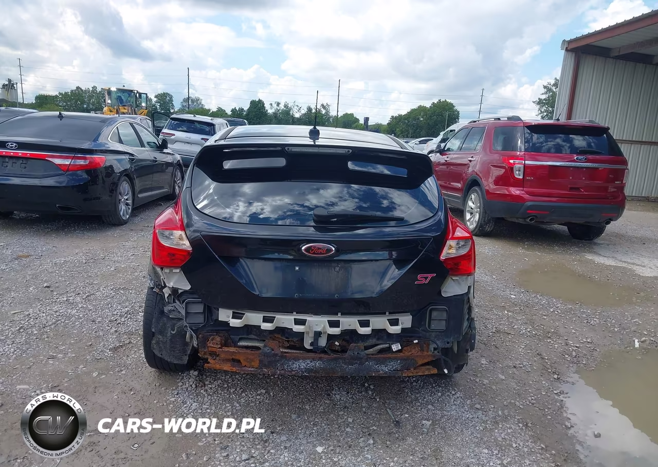 2014 Ford Focus St VIN:1FADP3L93EL338481 - 16