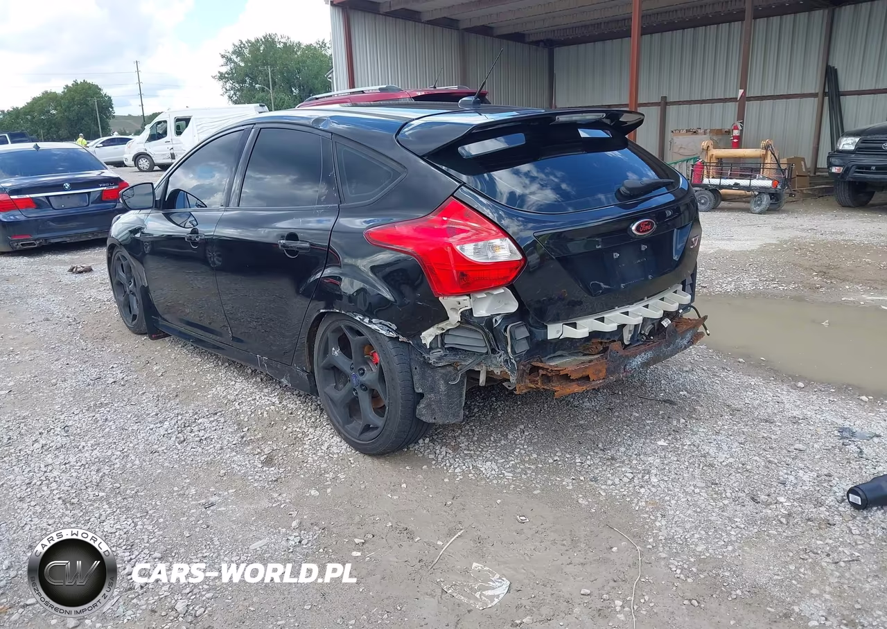 2014 Ford Focus St VIN:1FADP3L93EL338481 - 3