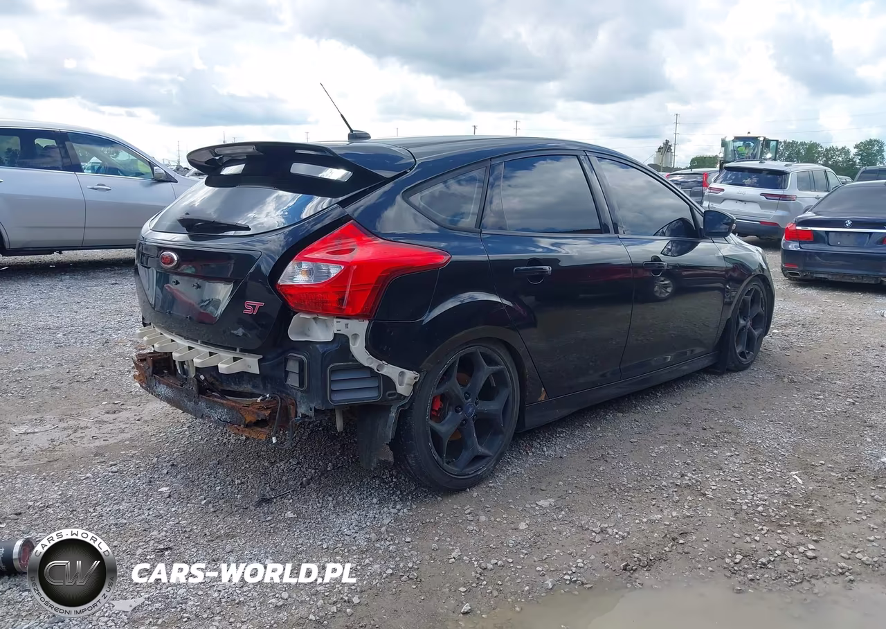 2014 Ford Focus St VIN:1FADP3L93EL338481 - 4