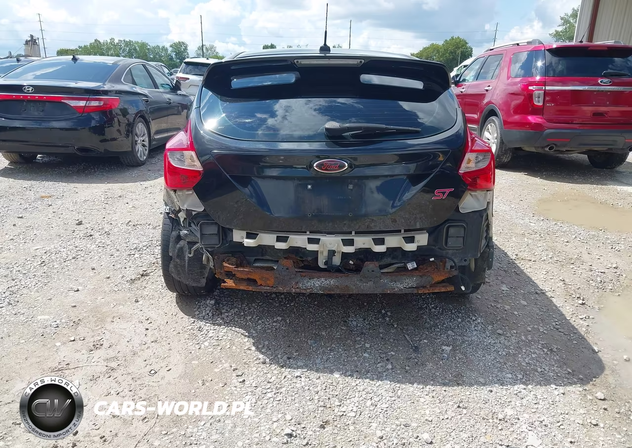 2014 Ford Focus St VIN:1FADP3L93EL338481 - 6