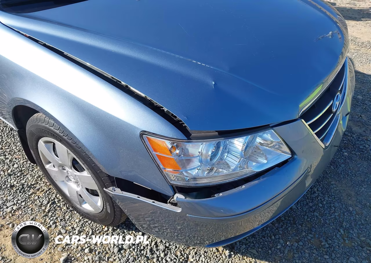 2010 Hyundai Sonata Gls VIN:5NPET4ACXAH617617 - 12