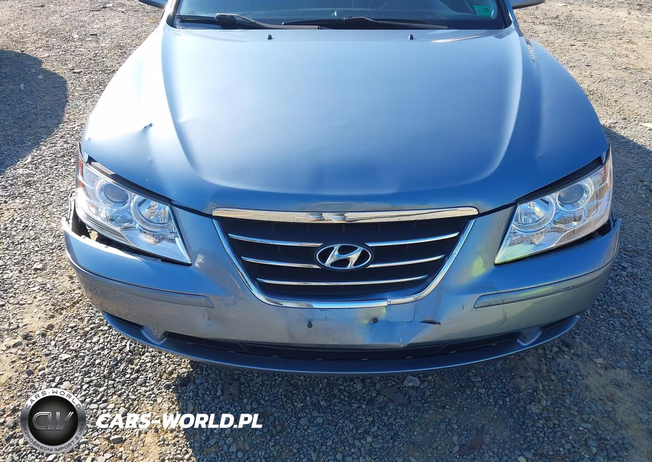 2010 Hyundai Sonata Gls VIN:5NPET4ACXAH617617 - 6