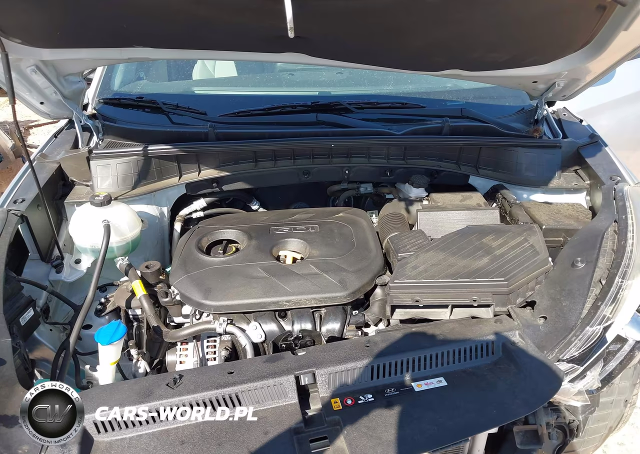 2019 Hyundai Tucson Se VIN:KM8J2CA41KU071782 - 10