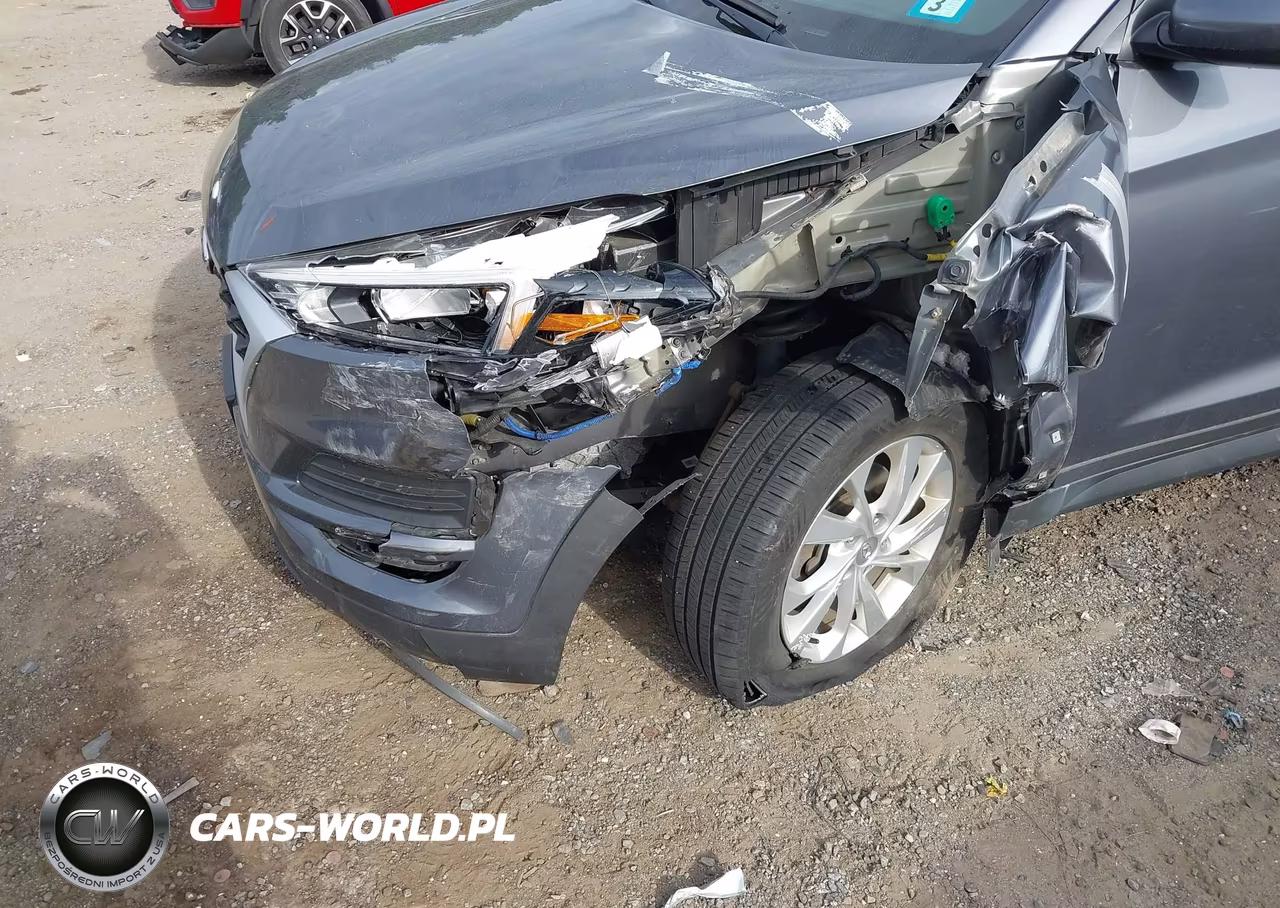 2019 Hyundai Tucson Value VIN:KM8J3CA41KU079135 - 6