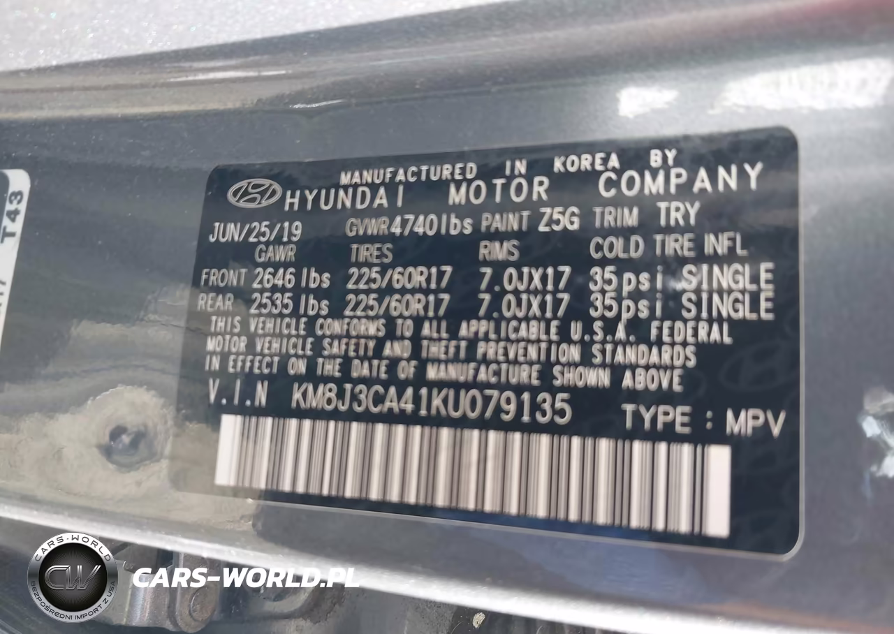 2019 Hyundai Tucson Value VIN:KM8J3CA41KU079135 - 9