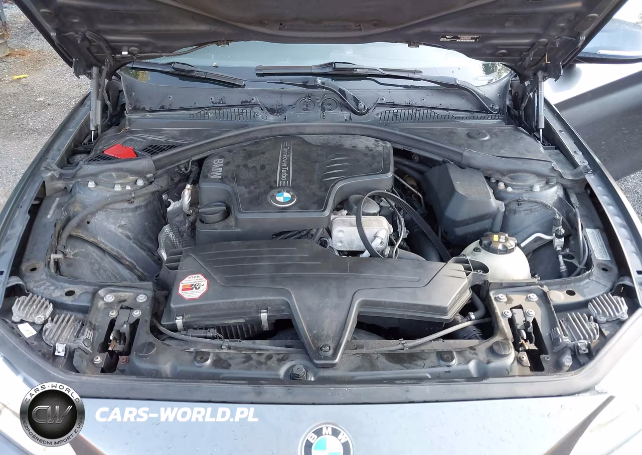2015 BMW 228I VIN:WBA1G9C53FVX96716 - 10