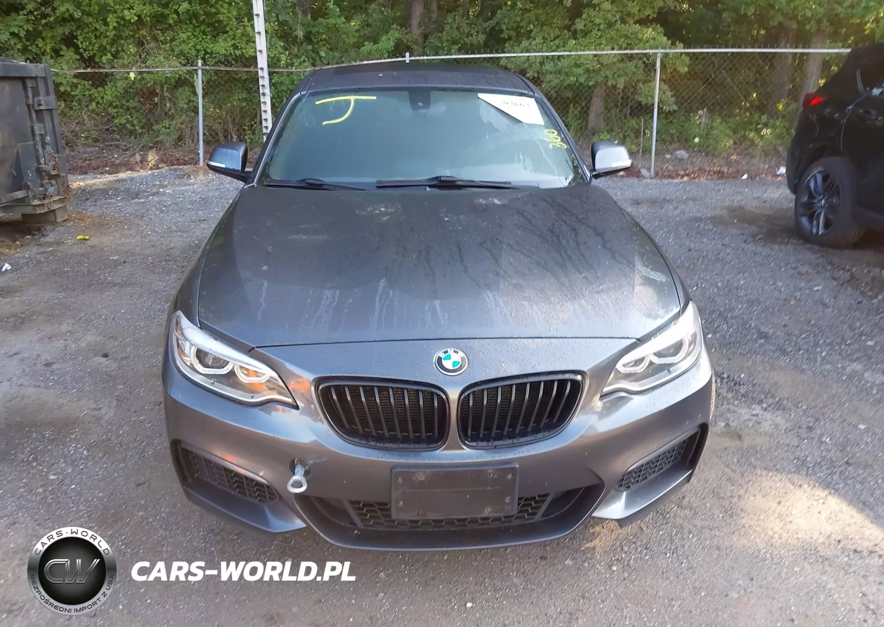 2015 BMW 228I VIN:WBA1G9C53FVX96716 - 12