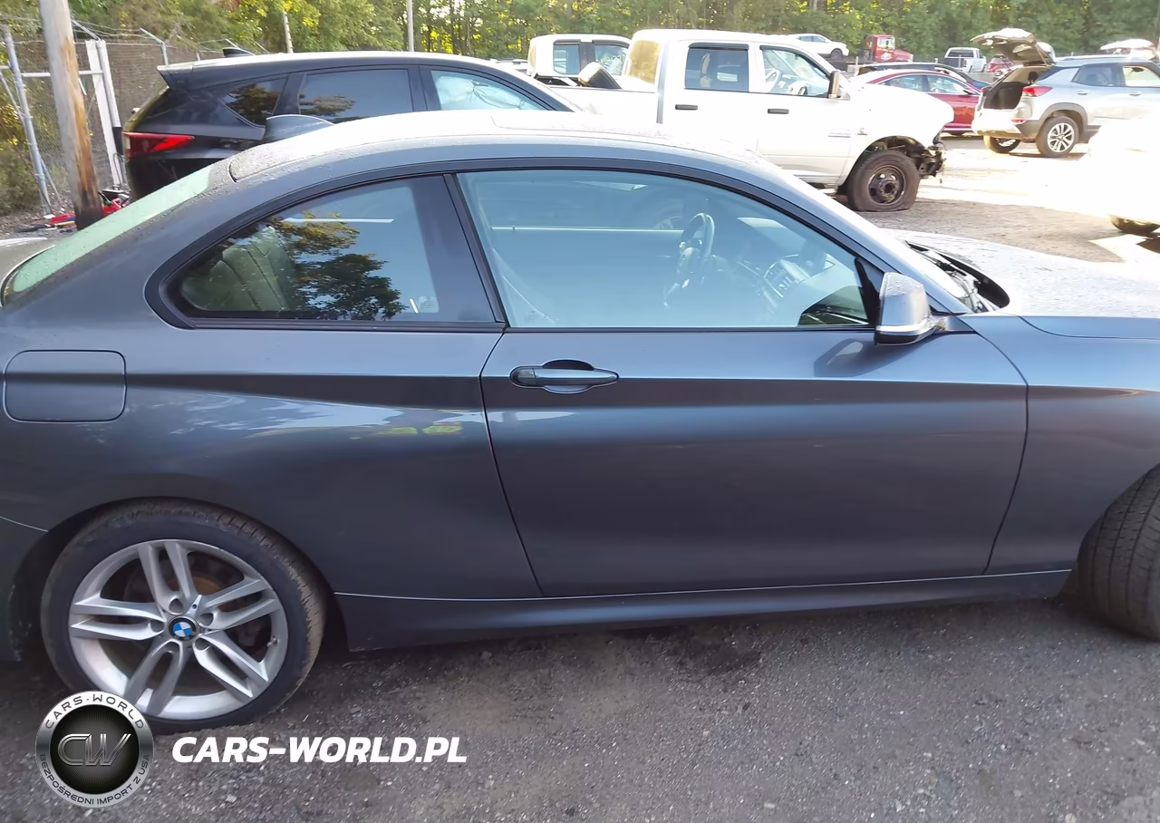 2015 BMW 228I VIN:WBA1G9C53FVX96716 - 13