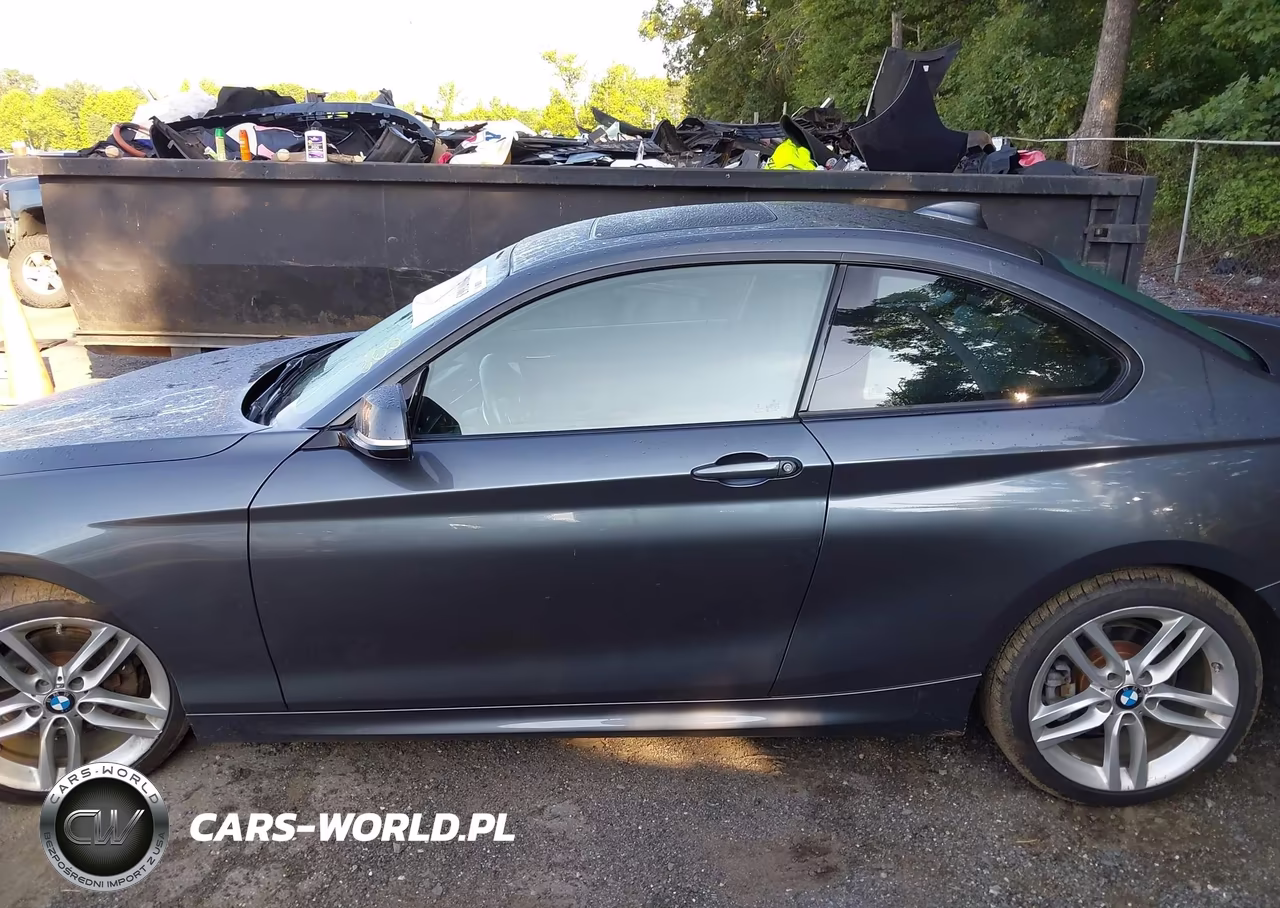 2015 BMW 228I VIN:WBA1G9C53FVX96716 - 14