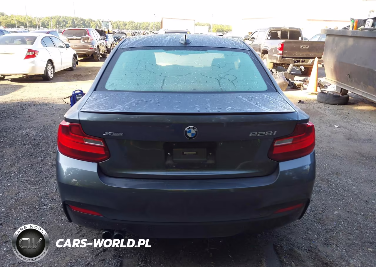 2015 BMW 228I VIN:WBA1G9C53FVX96716 - 16